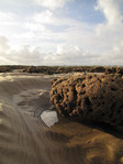 SX10519-20 Reef formed by Honeycomb worm (Sabellaria alveolata) on beach near Porthcawl.jpg